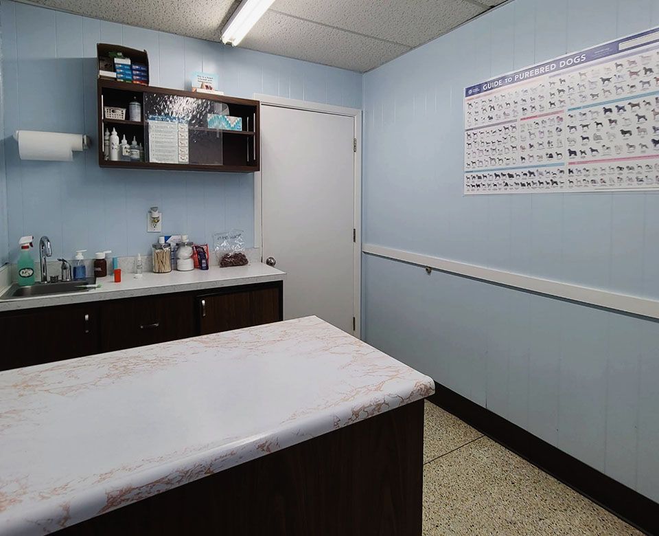examining room at Jefferson Animal Hospital