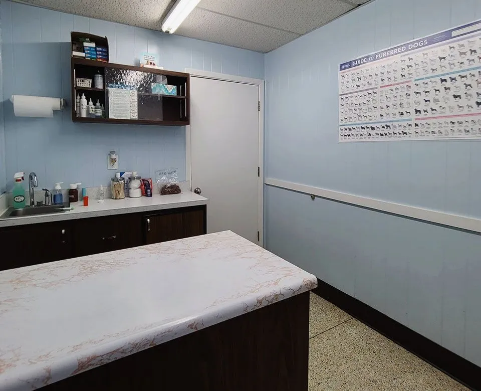 examining room at Jefferson Animal Hospital